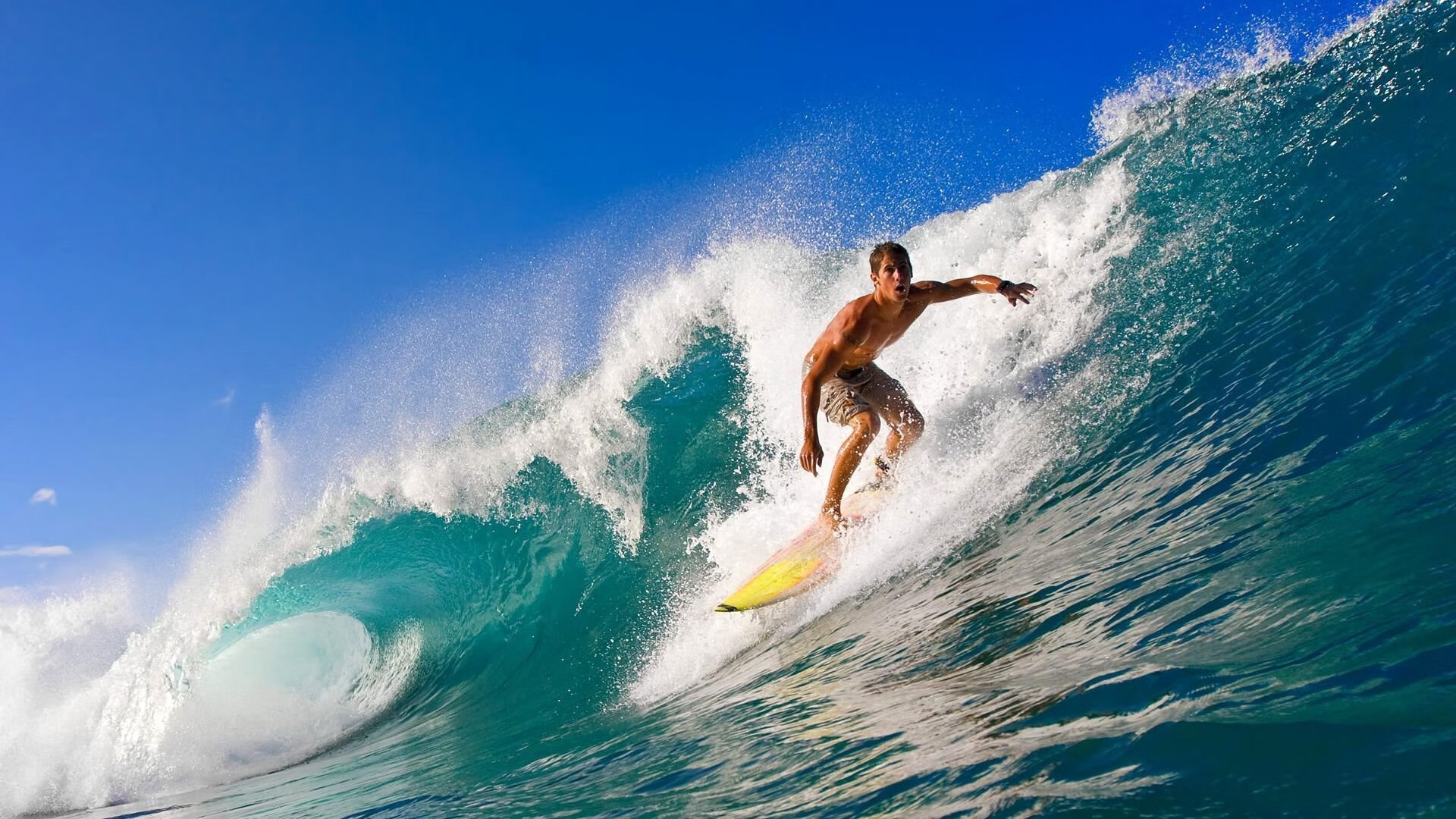 德甲争冠战焦点战启示录，从开拓者斩落尼克斯看竞技体育的唯一性法则